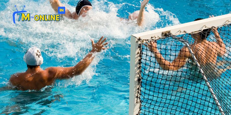 Cá cược bóng nước Asian Games Water Polo có an toàn không?