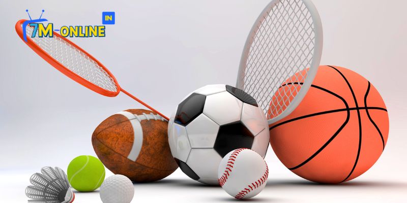 Sảnh Panda Sports là gì?