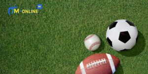 Sảnh Panda Sports - Trải Nghiệm Thể Thao Vô Cùng Độc Đáo