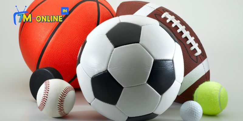 Bắt Đầu Cá Cược